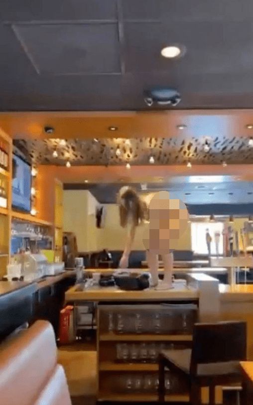 女子参击比变的简单介绍